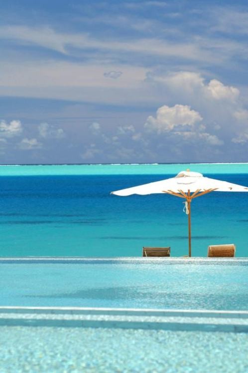 imgoingcoastal.tumblr