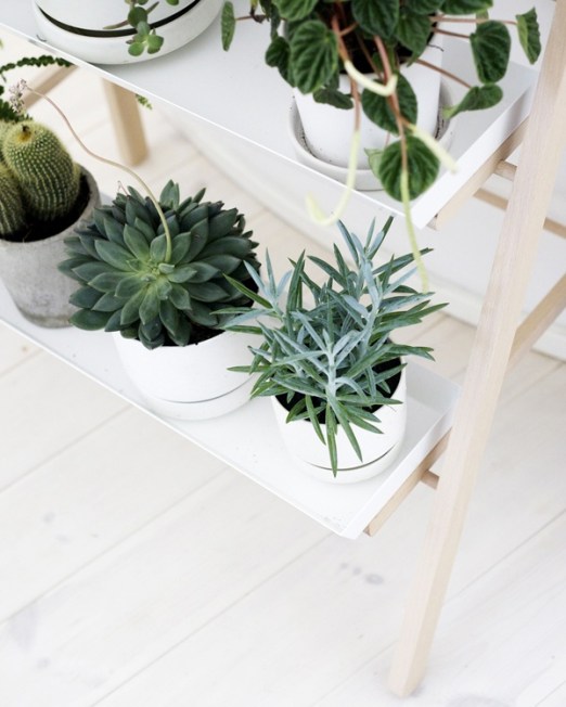 feelinspiredblog.com