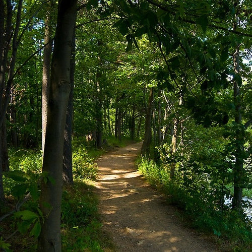 wistfullycountry.tumblr