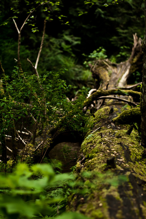 threehugger-me.tumblr.com