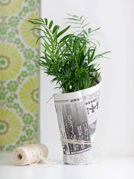 sannaochsania.blogspot.com