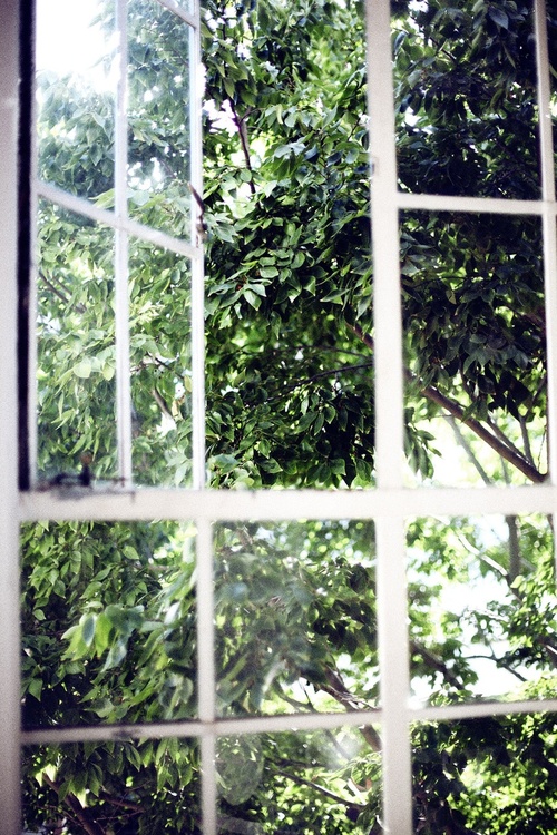 clicktoenlarge.tumblr.com