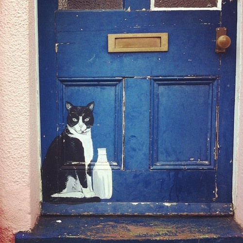 ginandbird.tumblr.com