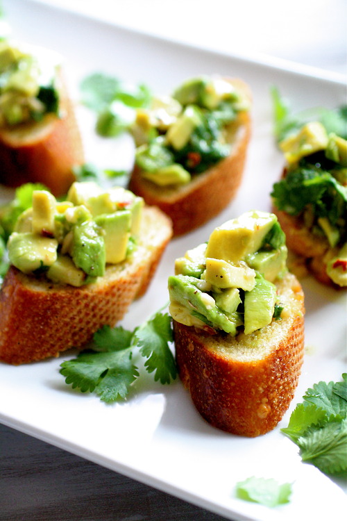 catalogism.tumblr.com