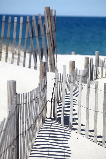 flickr.com:photos:mychatham