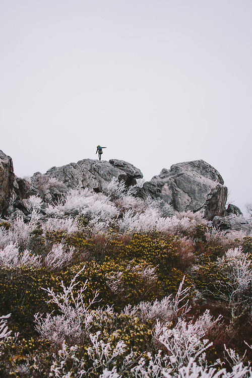 witanddelight.tumblr.com