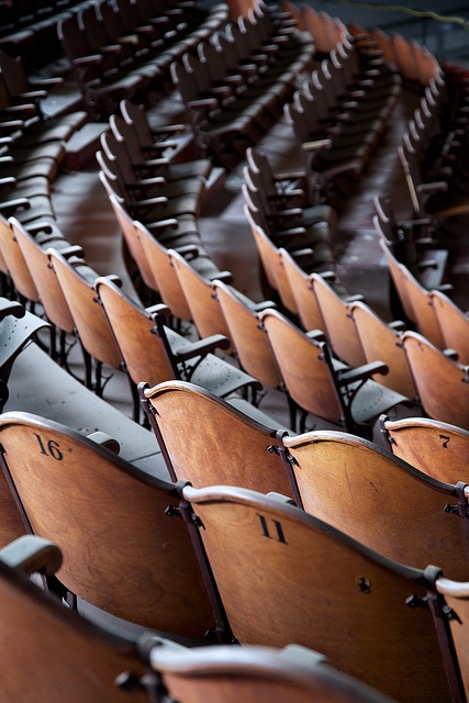 thegiftsoflife.tumblr.com