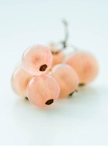 confettigarden.tumblr.com