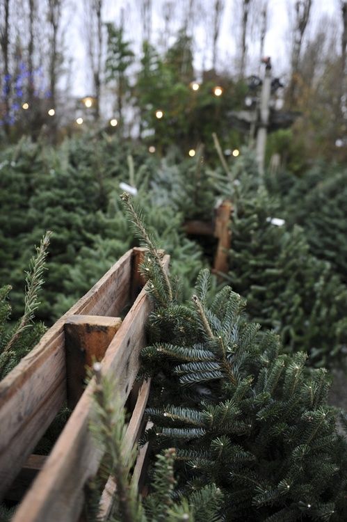 thatkindofwoman.tumblr.com