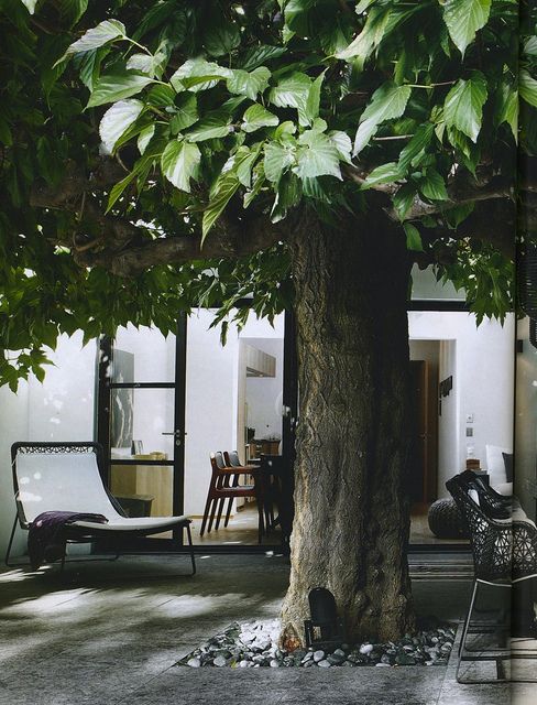 flickr.com:photos:melongings